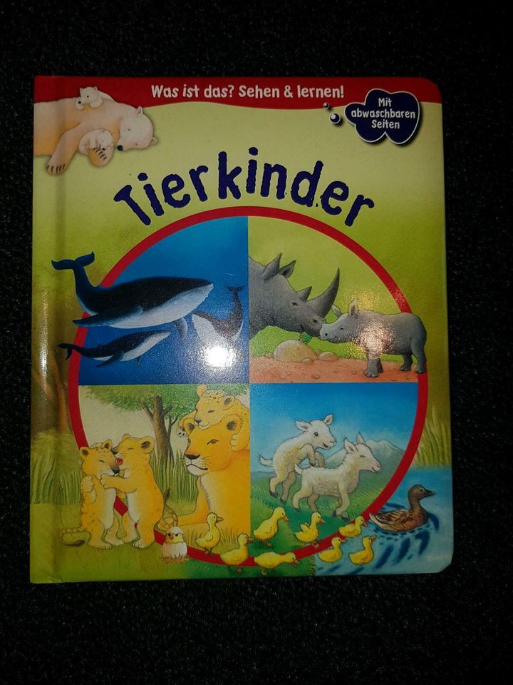 3 Bänder "Was ist das? Sehen & lernen" Flughafen,  Fahrzeuge in Würzburg