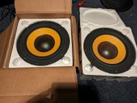 2 x Subwoofer Chassis Hivi Research / Swans F10 Nordrhein-Westfalen - Herdecke Vorschau