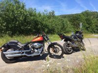 Harley Davidson Softail Blackline Originalzustand Hessen - Bensheim Vorschau