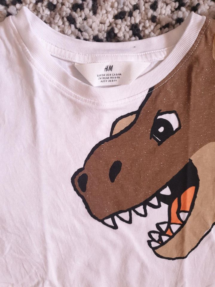 T-Shirt HM. Große 134. Dino in Köln