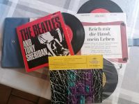 138 Schallplatten aus Vinyl Baden-Württemberg - Creglingen Vorschau