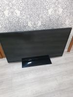 Panasonic 40Zoll Fernseher Nordrhein-Westfalen - Kamen Vorschau