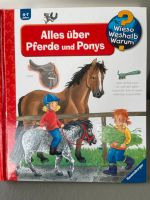 Ravensburger WWW - Alles über Ponys (4-7 Jahre) Herzogtum Lauenburg - Ziethen b. Ratzeburg Vorschau