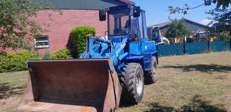 Radlader Zettelmeyer Typ 502 netto 11250€ in Vreden