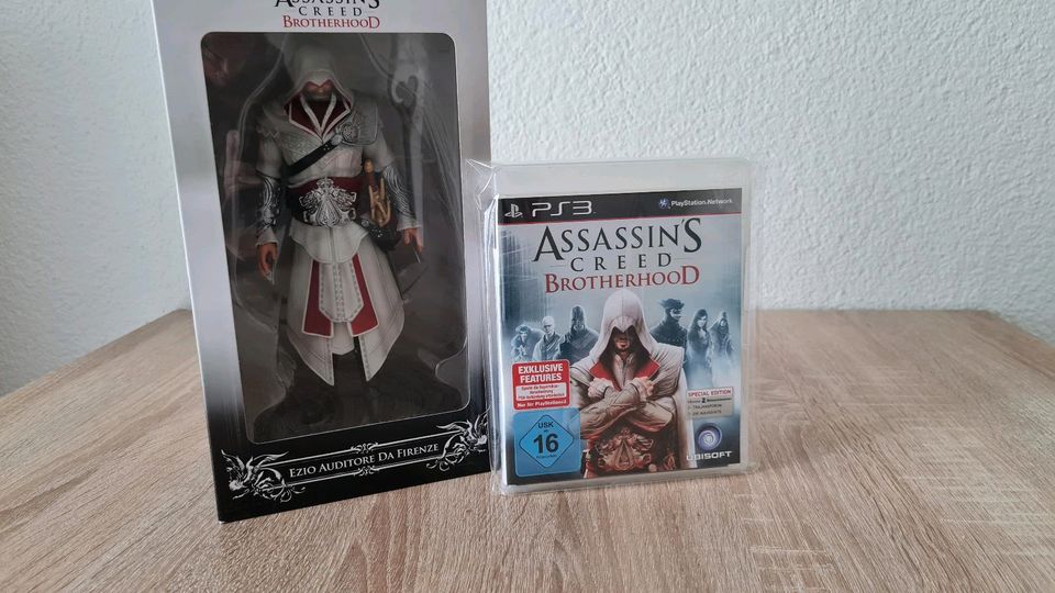 Assassin's Creed Brotherhood in Döbeln
