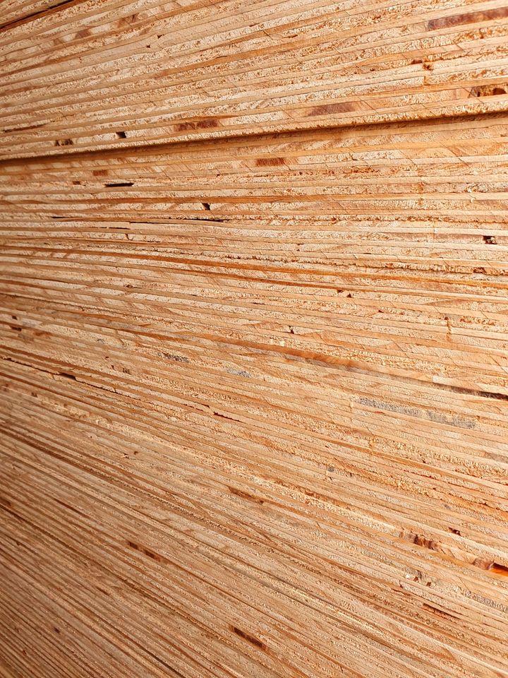 KANADAPLATTE 20,5 mm NADELSPERRHOLZ ELLIOTIS PINE 250 x 125 CM in Hameln