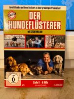 Der Hundeflüsterer mit César Millan Staffel 1 - 6 DVDs  NEU Schwerin - Altstadt Vorschau