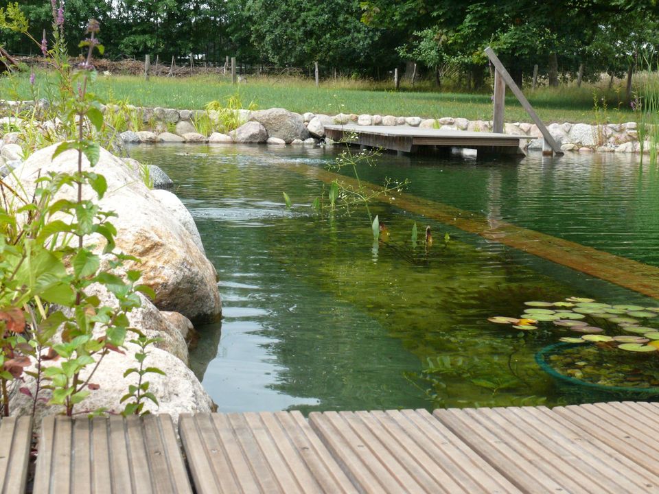 Teiche, Schwimmteiche Gartenteich, Teichbau, Teich in Dahlenburg