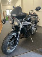 Triumph Speed Triple T509 955i Niedersachsen - Martfeld Vorschau