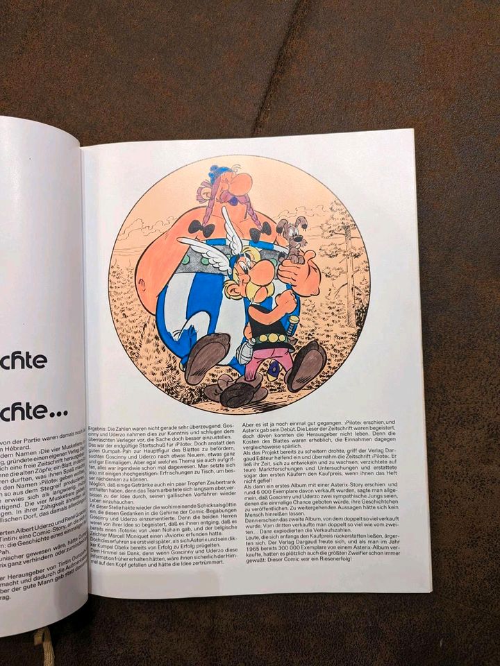 Asterix Obelix Horizont Delta Verlag 1975 1991 Buch Comic in Regensburg