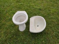 Waschbecken und Toilette zu verschenken für Polterabend o.ä. Brandenburg - Schönwalde-Glien Vorschau