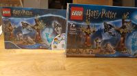 Harry Potter Lego-Set 75945 Expecto Patronum Baden-Württemberg - Ulm Vorschau