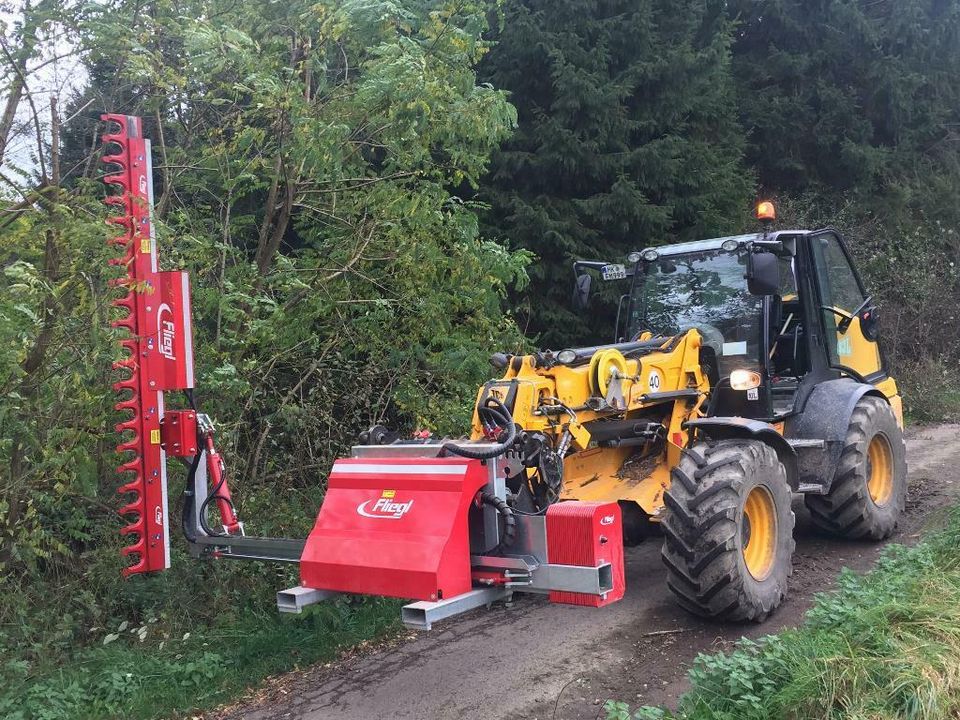 Freischneiden / Lichtraumprofil / Heckenschnitt in Balve