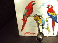 Bild Papagei Parrot Jungle Florida und Zierlöffel USA usw.VB Gröpelingen - Oslebshausen Vorschau