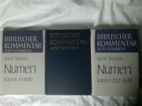 Seebass Biblisch Kommentar Testament Numeri Theologie Bibel 4Mose Baden-Württemberg - Albstadt Vorschau