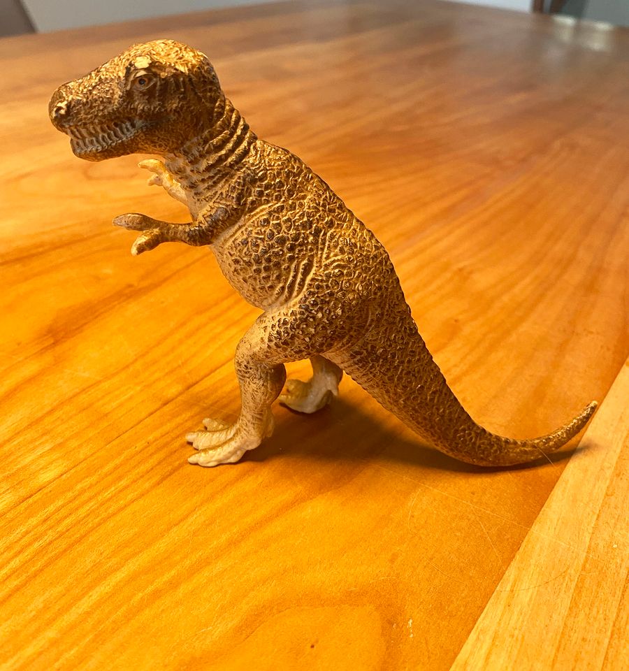 Schleich Dinosaurier + 4 Stück im Paket oder solo in Köln