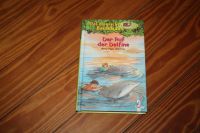 Das magische Baumhaus Band 9 Ruf der Delfine Harburg - Hamburg Heimfeld Vorschau