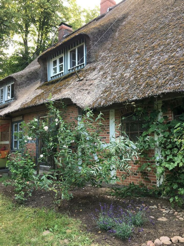 Seminarhaus Hohenhorn in der Nähe Hamburgs zu vermieten in Hohenhorn