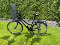 Damenrad Maxcycles Traffic Curve matt schwarz 28 Zoll Nordrhein-Westfalen - Neuenkirchen Vorschau