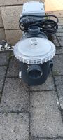 Intex Poolfilter, Sandfilter, Pumpe Brandenburg - Bad Liebenwerda Vorschau