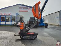 Cormidi C55 HI Raupendumper mit Hochkippfunktion 2024 #316 Nordrhein-Westfalen - Schermbeck Vorschau