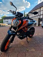 KTM Duke 390 Hessen - Knüllwald Vorschau