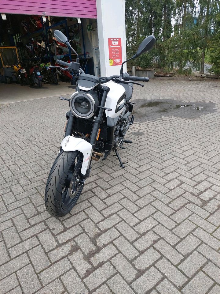 Motorrad zu vermieten !  Moto Morini Seiemmezzo 650 STR in Eschenburg
