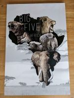 Bild Big five Africa / Afrika TOP ZUSTAND Essen - Rellinghausen Vorschau