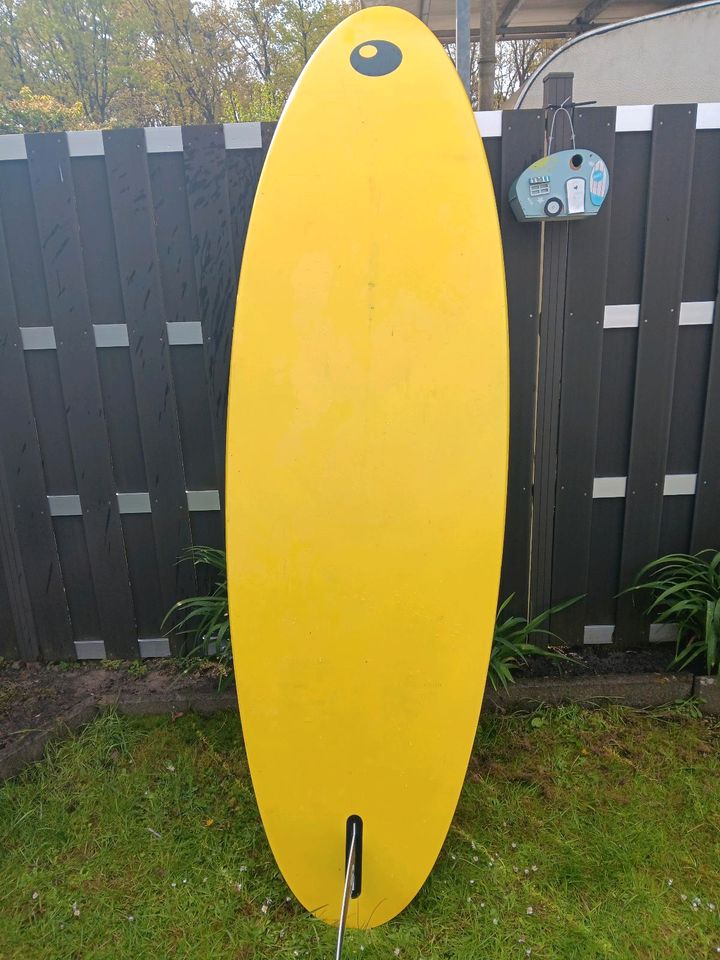 Windsurfboard Bic 148 l in Höxter