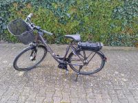 E-Bike, Carver, Bosch, Damenrad, 55" Rheinland-Pfalz - Wachenheim an der Weinstraße Vorschau