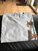 Zara Pullover Bayern - Weiherhammer Vorschau