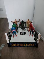 Wrestling Mania Kampfring The Rock Godzilla John Cena Kreis Pinneberg - Elmshorn Vorschau