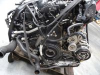 Motor VW AMAROK 3.0 TDI DDX DDXA DDXB DDXC 224PS Komplett Berlin - Wilmersdorf Vorschau