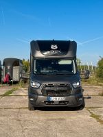 Pferdetransporter Ford Transit STX Haras Berlin - Reinickendorf Vorschau