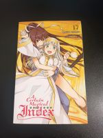 A Certain Magical Index band 17 vol 17 Light Novel Englisch Dresden - Innere Altstadt Vorschau