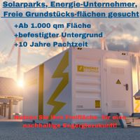 SOLARPARK I STROM EINSPEISEN I RENDITEN ERWIRTSCHAFTEN! Rheinland-Pfalz - Bubenheim (Pfalz) Vorschau