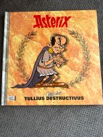 Asterix alles über Tullius Destructivus Feldmoching-Hasenbergl - Feldmoching Vorschau