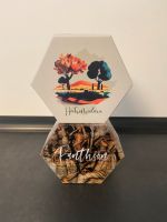 Pantheon + Hextremadura Nordrhein-Westfalen - Kürten Vorschau