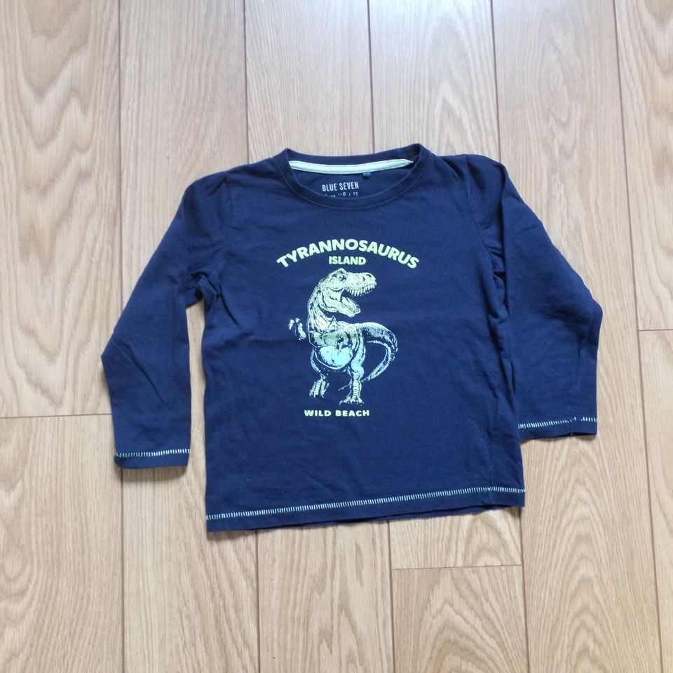 Langarmshirts Junge von Ninjago, Zara, Topolino in Größe 104-110 in Mönchengladbach