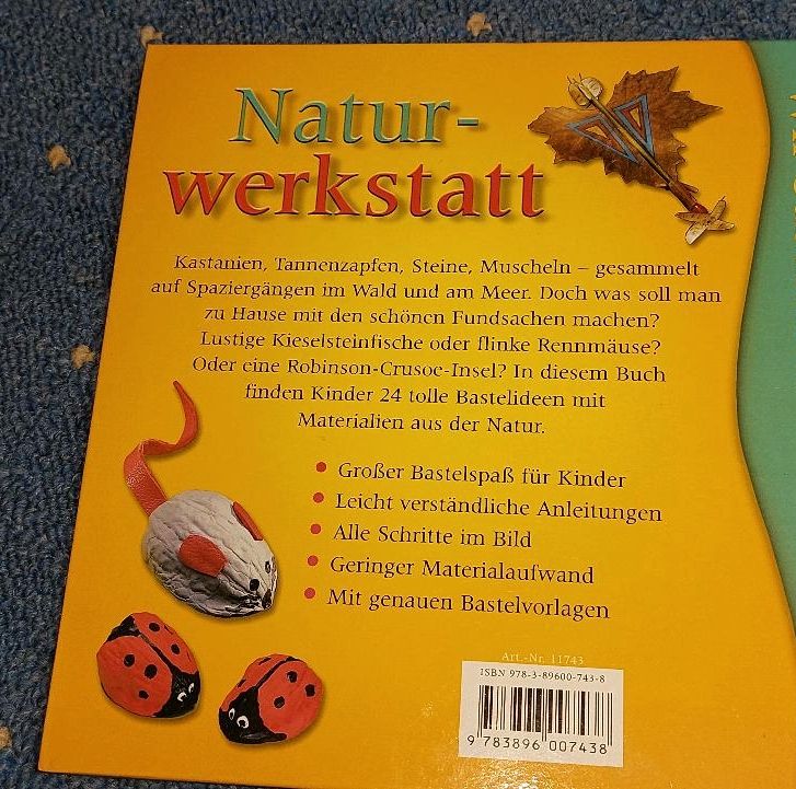 Neu ❣️ Bastelbuch " Naturwerkstatt " in Leipzig
