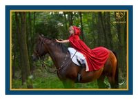 ⚜️ Reitunterricht - Reiten für Kinder - Kontakt zu Pferden Bayern - Viechtach Vorschau
