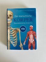 Gesundheitsstörungen. Der menschliche Körper Hamburg-Nord - Hamburg Barmbek Vorschau