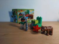 Duplo  Zoofütterung in OVP Bayern - Bruckmühl Vorschau