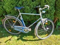 Hercules Teneriffa 28 Zoll Fahrrad Schleswig-Holstein - Schönberg (Holstein) Vorschau