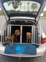 Auto Hundeboxen von Schmidt fertig montiert, schon ab: 373,-€ Einzel- oder Doppelbox im Dogshop-exclusive am Lager Hundeboxenstopp A 7 Niedersachsen - Schwarmstedt Vorschau