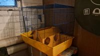 Hamster Käfig mit viel Zubehör Nordrhein-Westfalen - Remscheid Vorschau