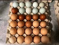 Eier aus Freilandhaltung, Futter ohne Gentechnik, Hühner Nordrhein-Westfalen - Hamm Vorschau