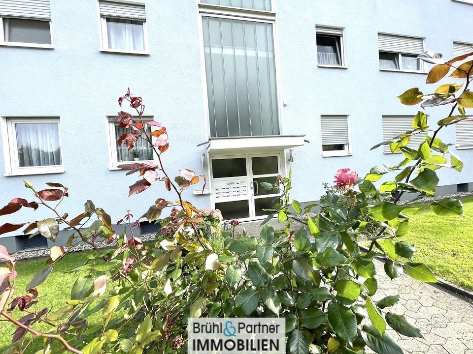 Unverbauter Fernblick - saniert mit Balkon und Garage in Rosbach (v d Höhe)