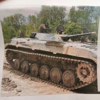 Panzer selber fahren Mahlwinkel Baden-Württemberg - Edingen-Neckarhausen Vorschau