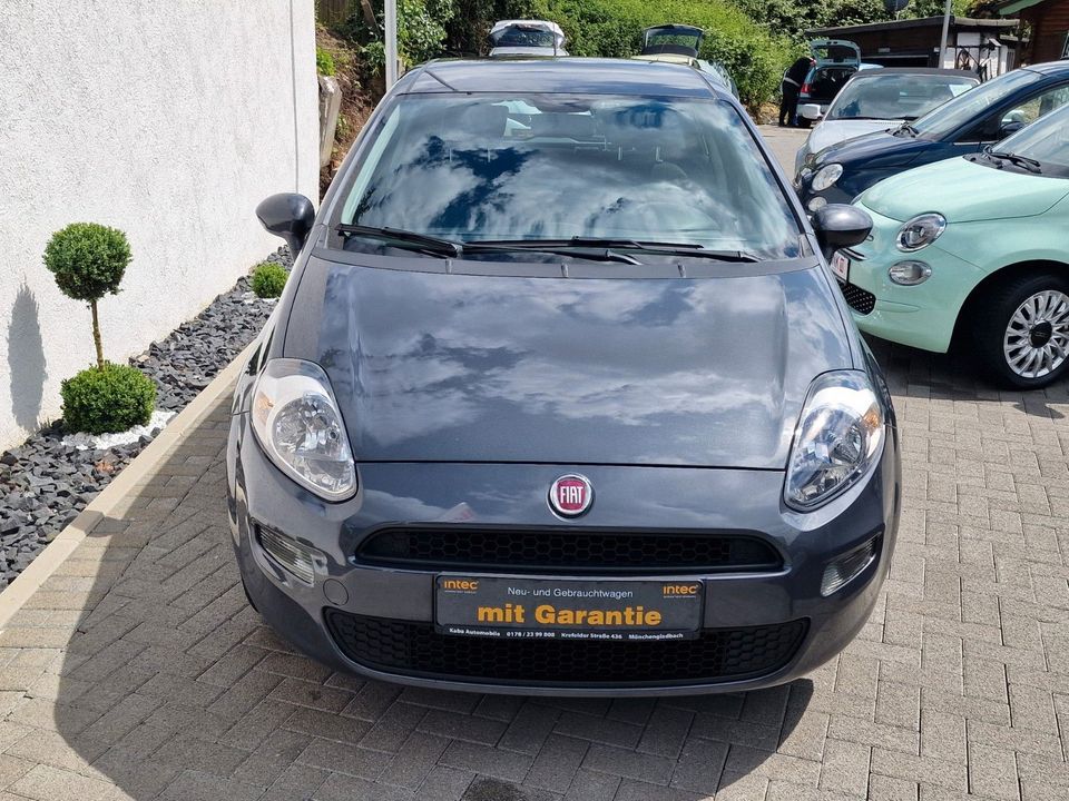 Fiat Punto Pop -Klima/EU6/Gepflegt/1.Hd- in Mönchengladbach